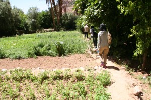 20120607-morocco (448)