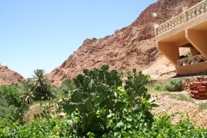20120607-morocco (467)